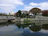1 Image 1