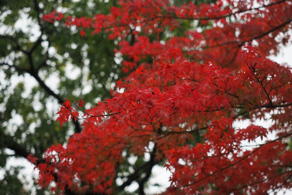 4 Image 4