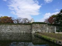20 Image 20