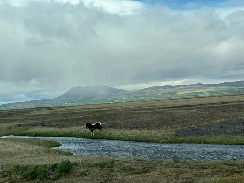 17 Image 17