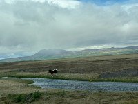 17 Image 17