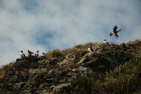 8 Image 8