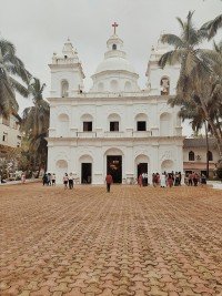 8 Image 8