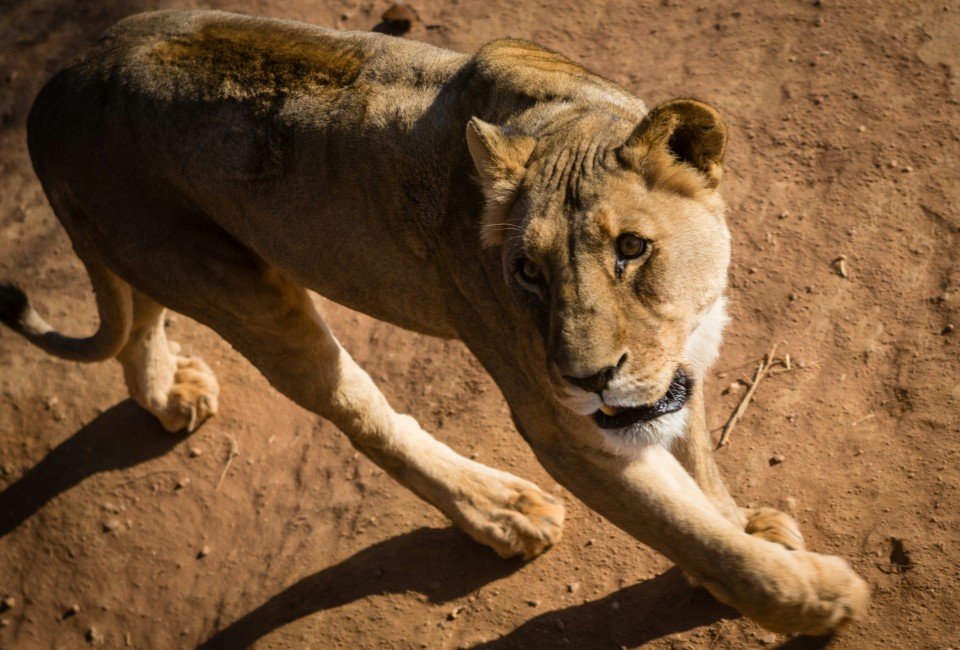 Namibia