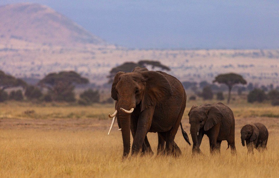 Kenya