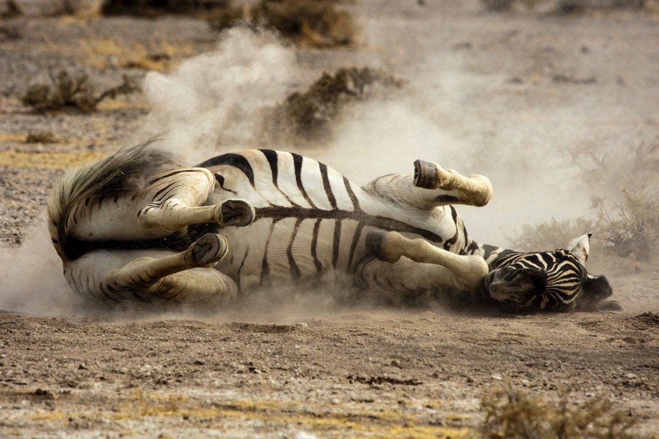 Namibia