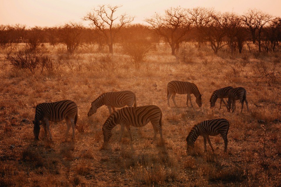 Namibia