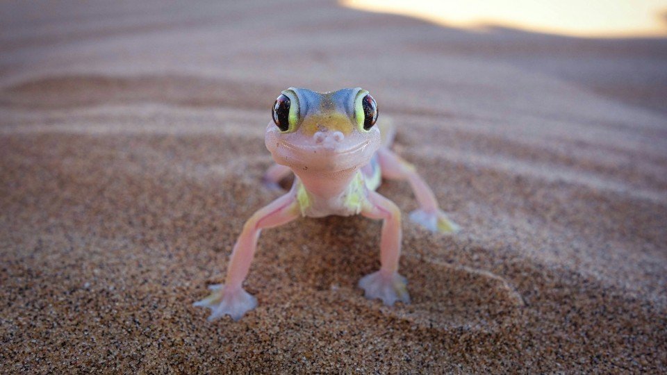 Namibia