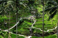 Ubud cruise port
