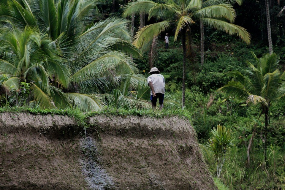 Ubud cruise port