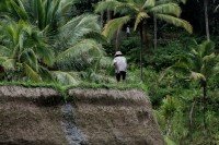 Ubud cruise port