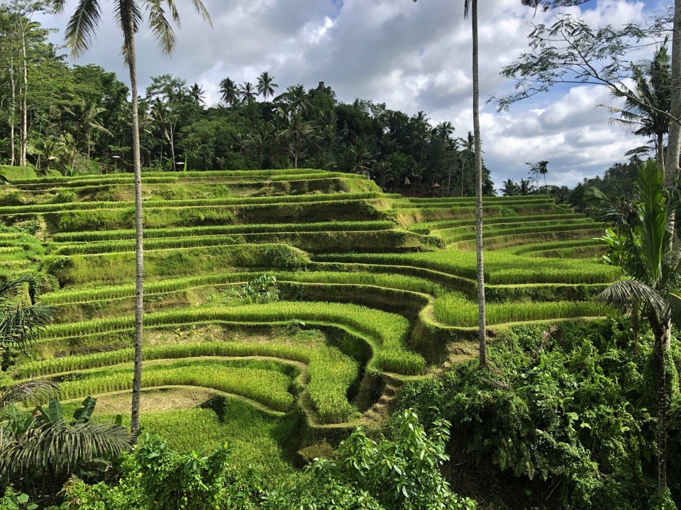 Ubud cruise port