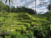 Ubud cruise port
