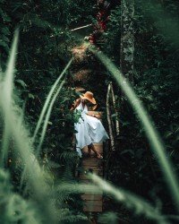 Ubud cruise port