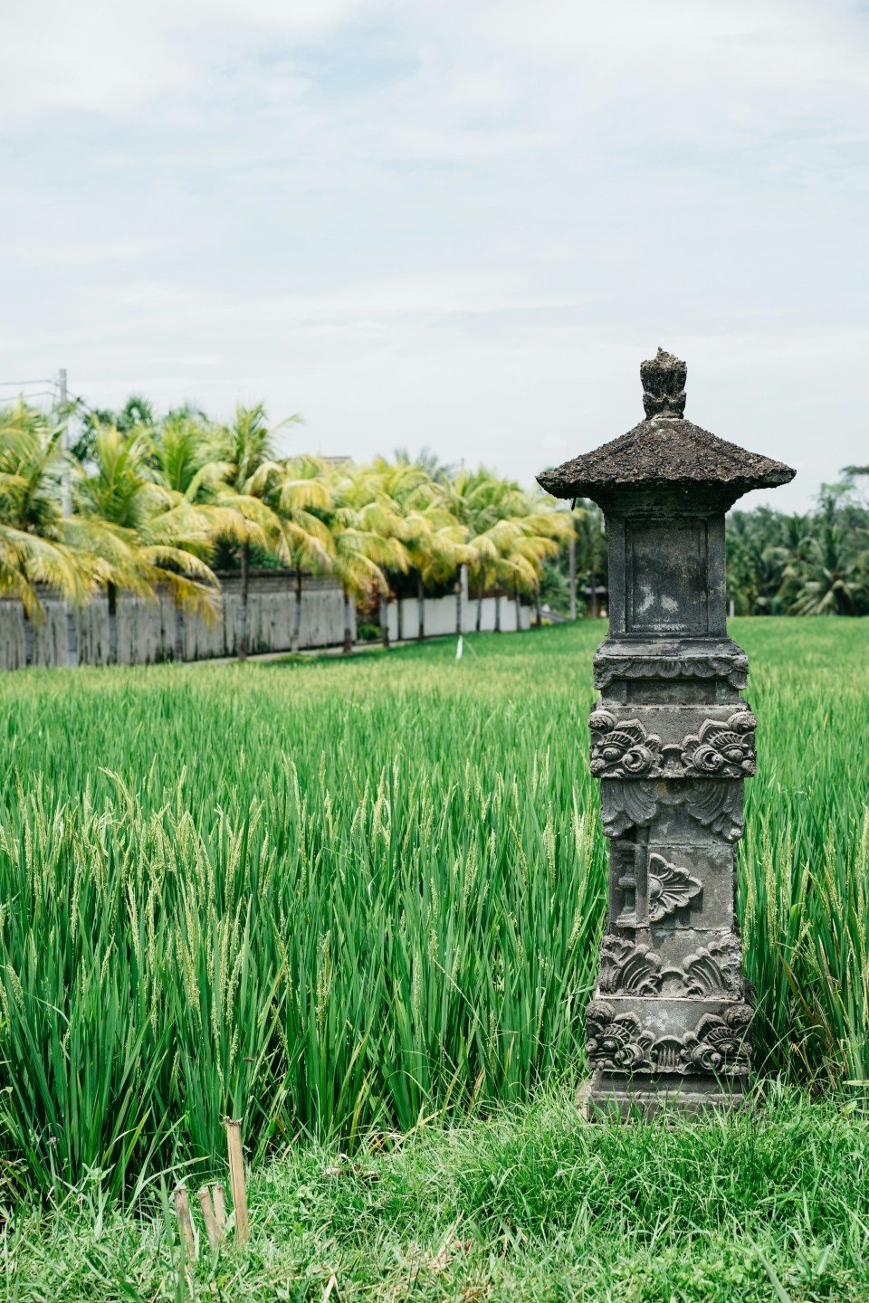 Ubud cruise port