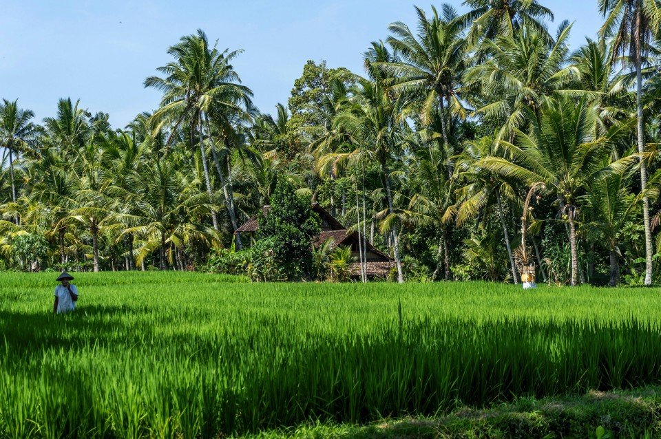 Ubud cruise port