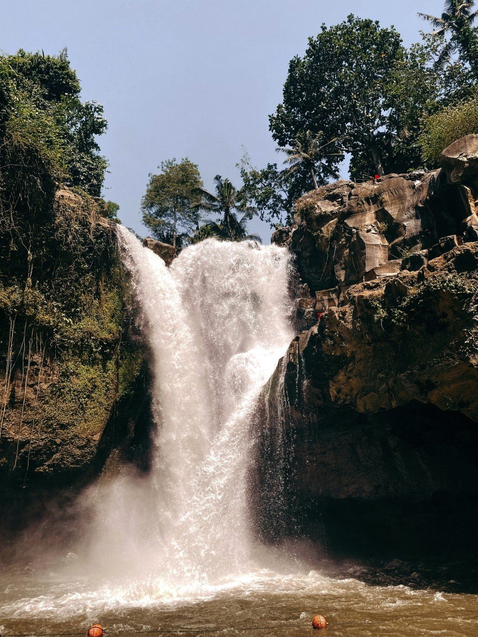 Bali, Singapore & Indonesia Expedition search image