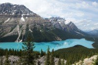 8 Image 8
