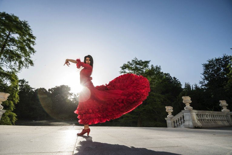Flamenco Show on MS Estrela