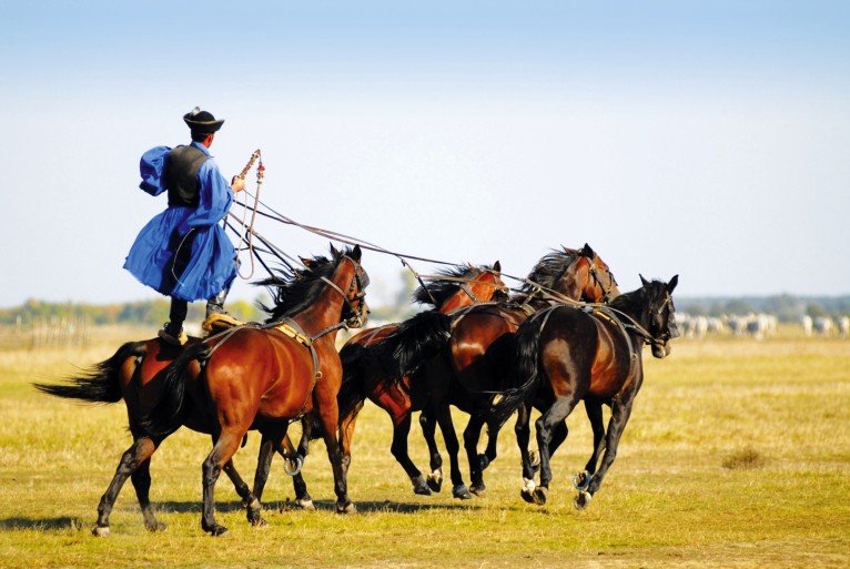 Folk Art House and Horse Show