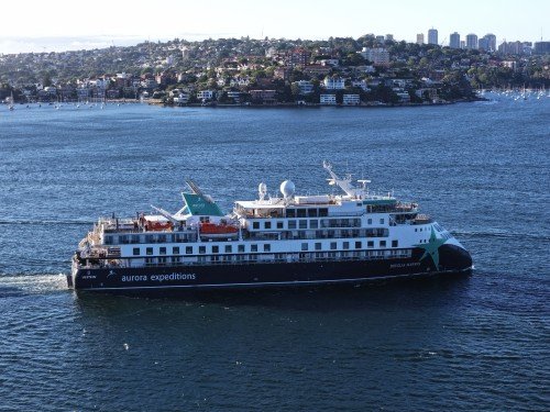 Douglas Mawson Image