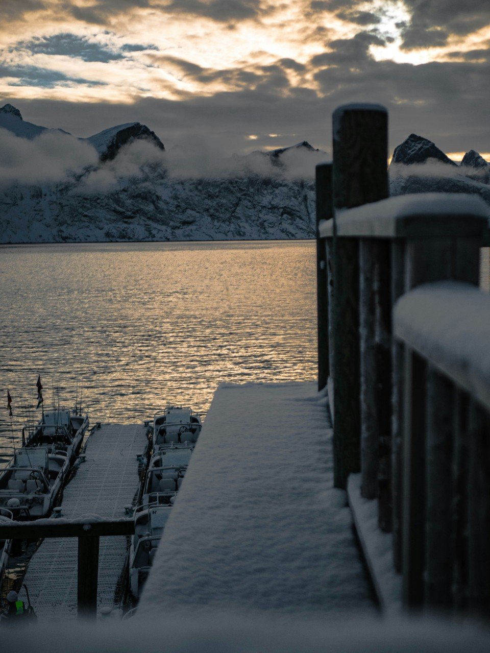 Senja Island cruise port