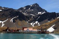 Grytviken cruise port