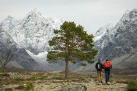 Lyngen Alps cruise port