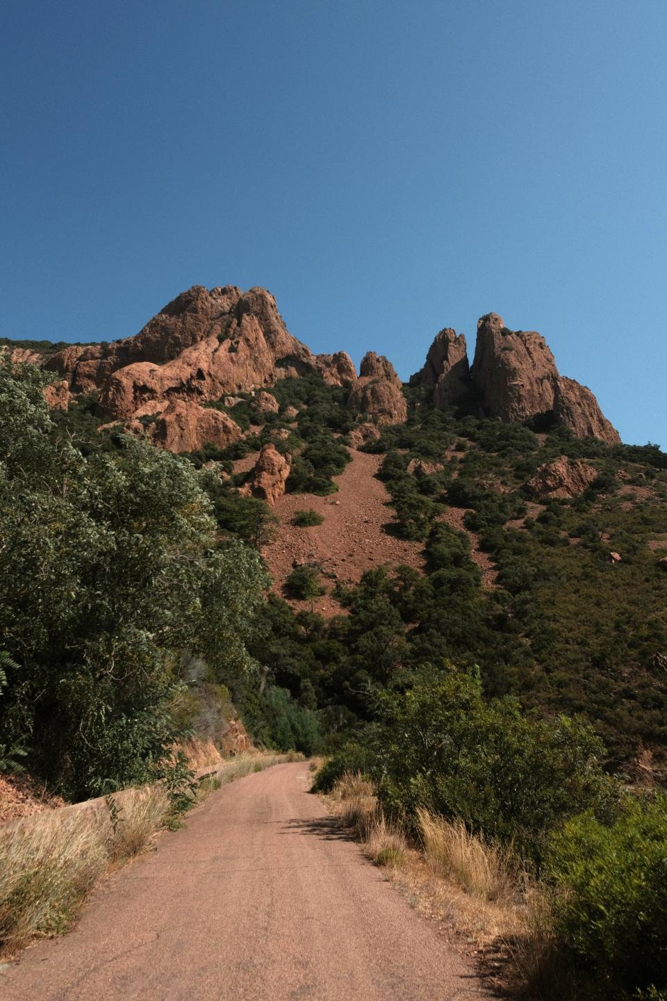 7 Image 7