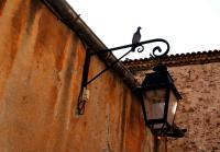 10 Image 10