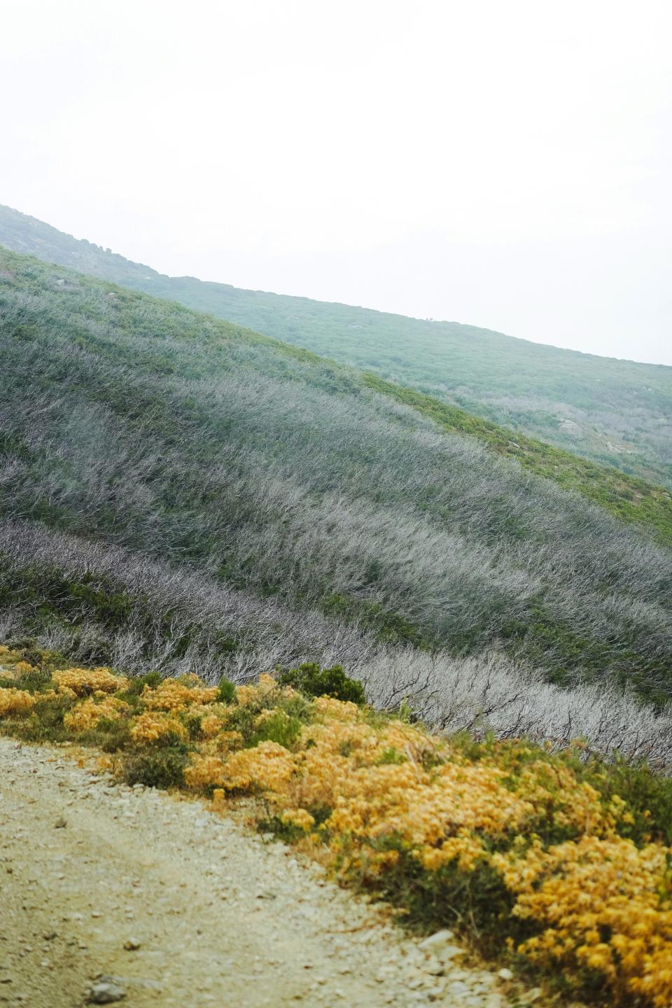 7 Image 7