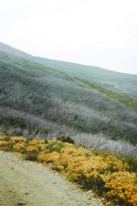 7 Image 7