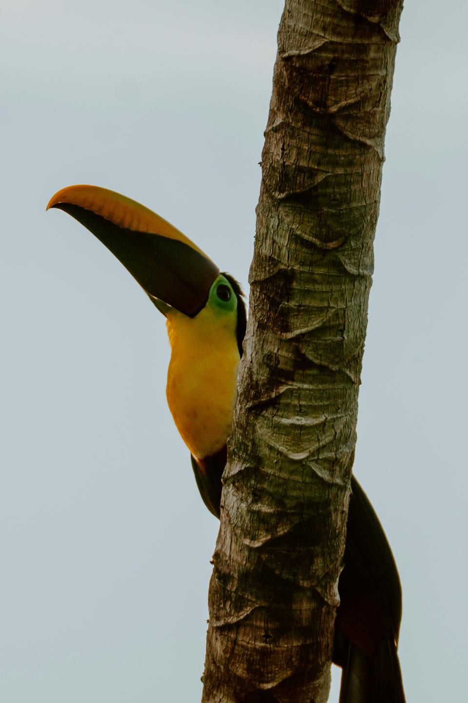 Costa_Rica