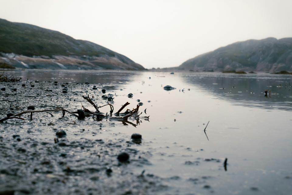 9 Image 9