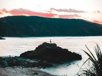 11 Image 11
