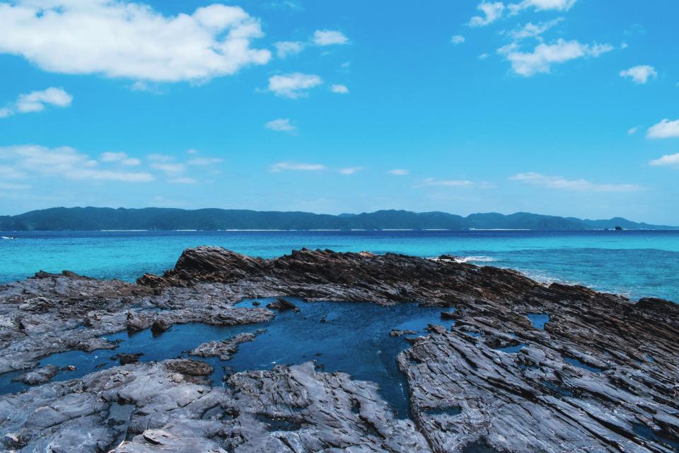12 Image 12