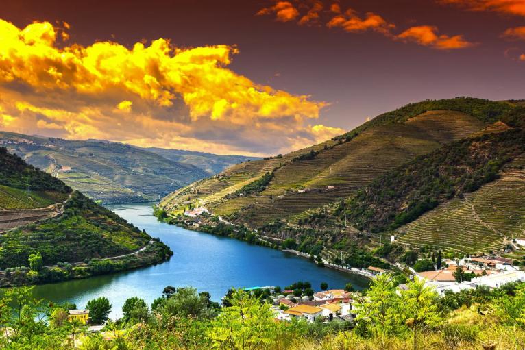 Riviera Travel gallery image