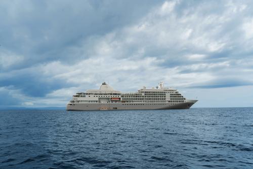 Silver Shadow Image