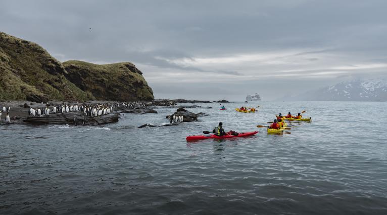 Kayaking Exploration on Silver Cloud