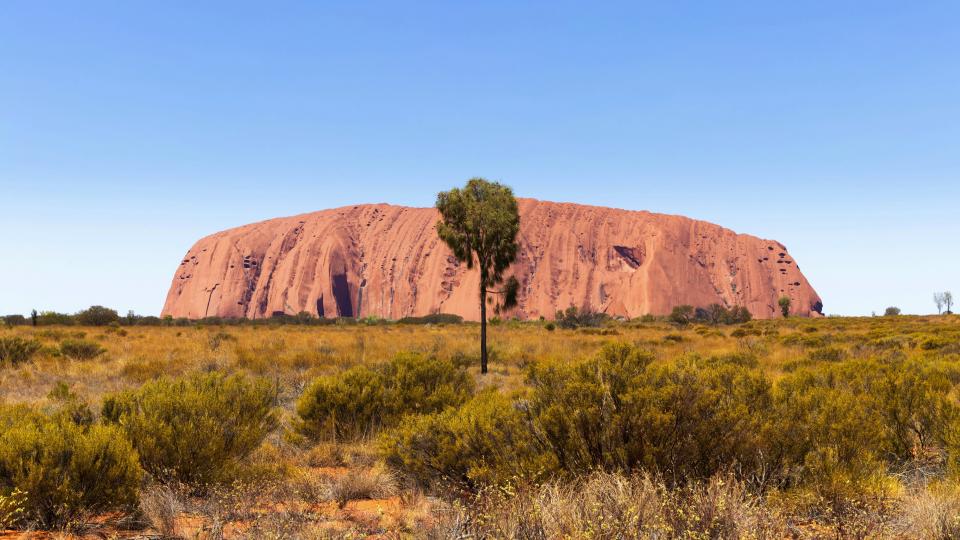 7 Image 7