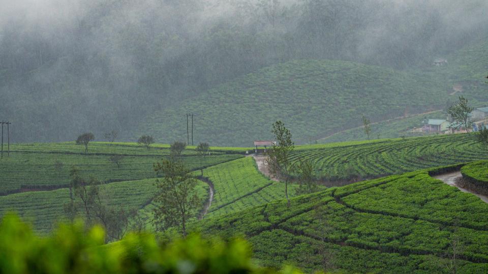 Sri_Lanka