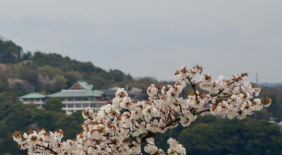 Inuyama cruise port