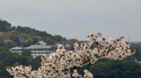 Inuyama cruise port