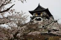 Inuyama cruise port