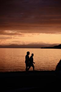 Taupo cruise port