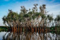Kakadu National Park, Northern Territory cruise port