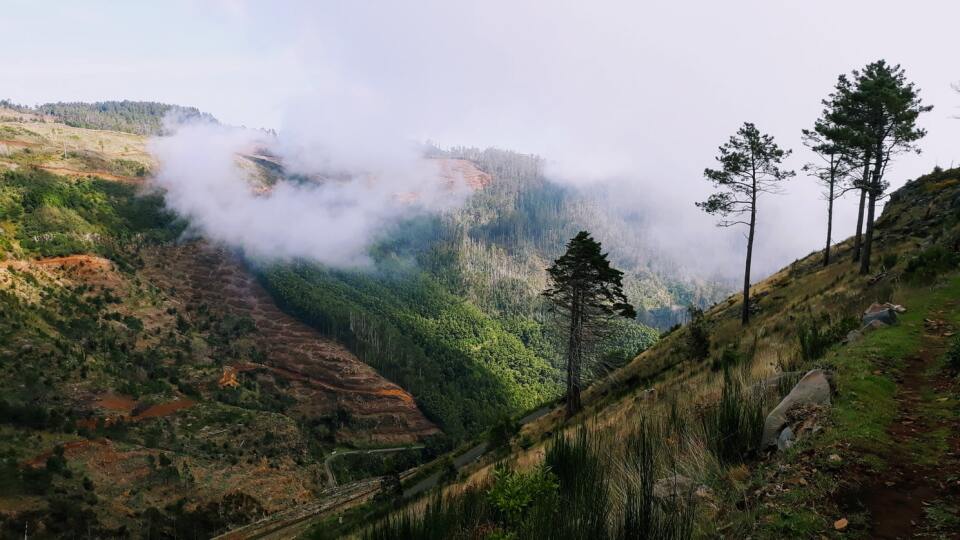 Funchal, Madeira