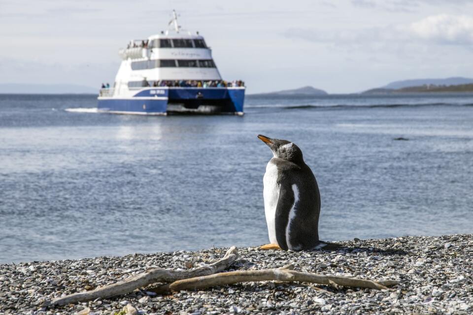 Ushuaia cruise port