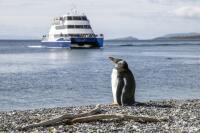 Ushuaia cruise port