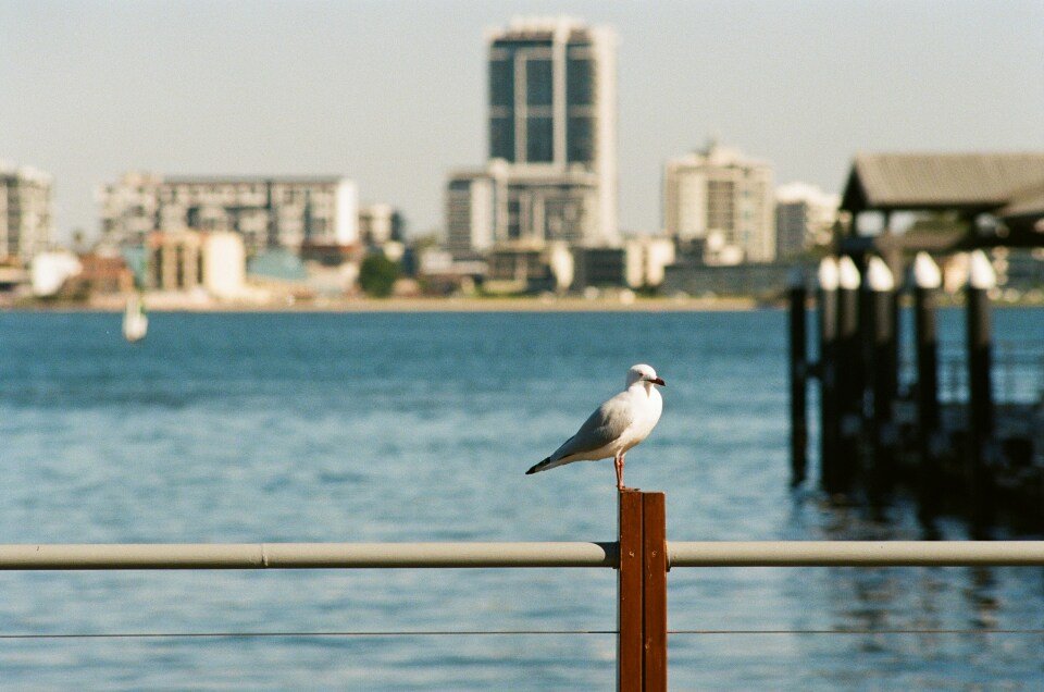 Perth, Western Australia cruise port